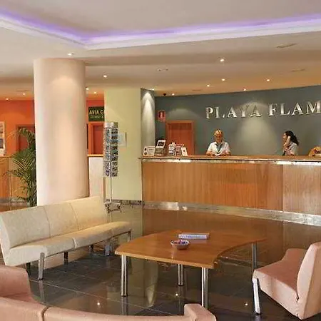 Flamingo Resort Playa Blanca