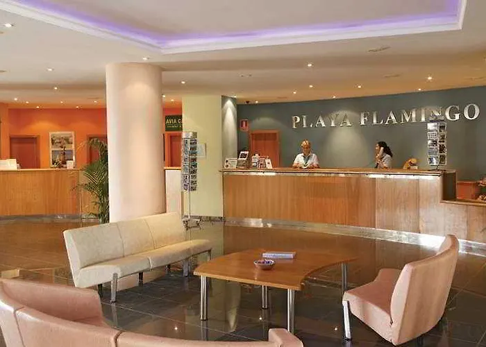 Flamingo 酒店 普拉亚布兰卡